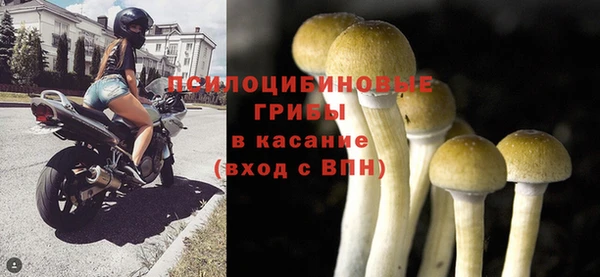 ALPHA PVP Лабытнанги