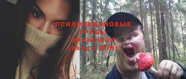 таблы Лиски